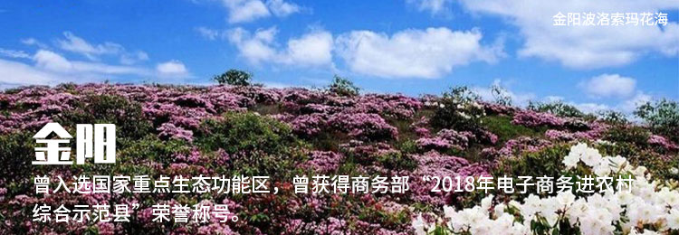金阳